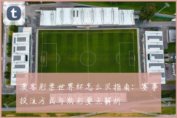 澳客彩票世界杯怎么买指南：赛事投注方式与购彩要点解析