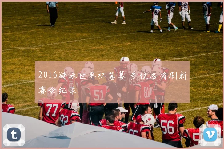 2016游泳世界杯落幕 多位名将刷新赛会纪录
